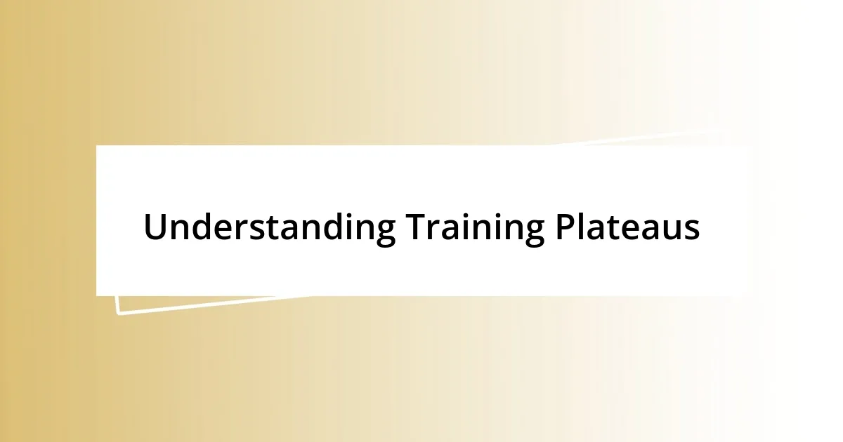 Understanding Training Plateaus