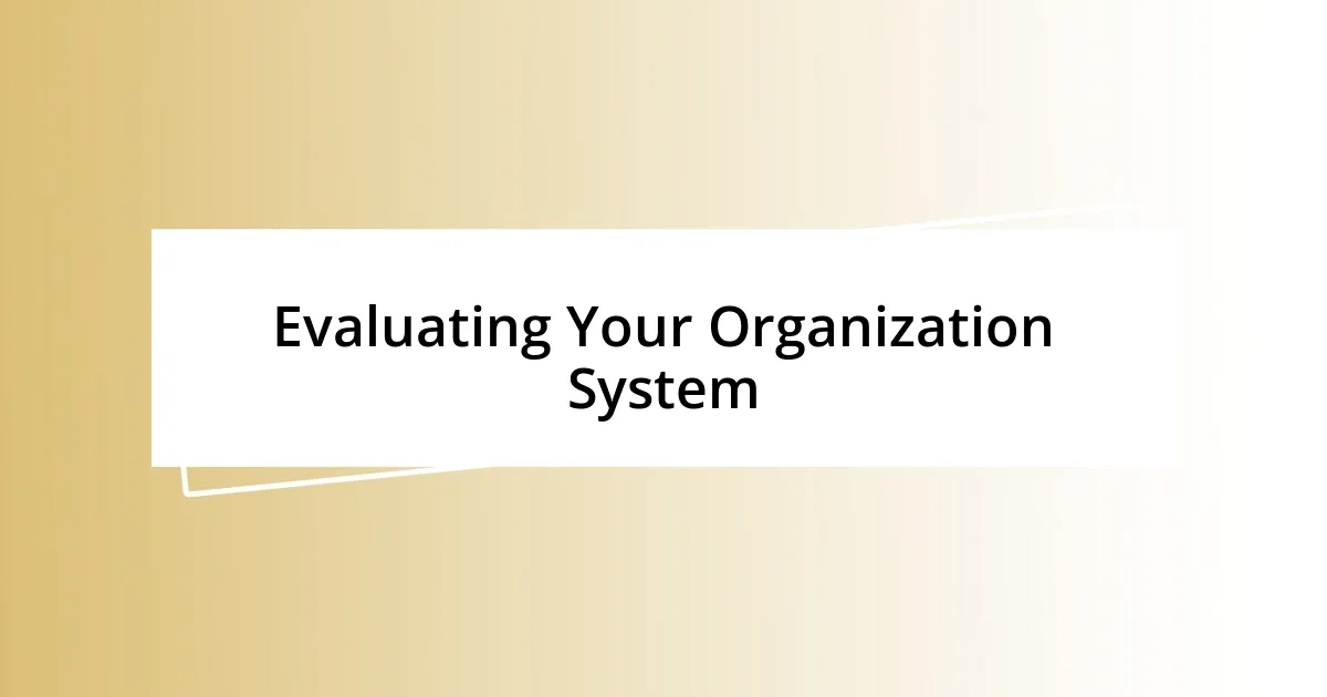 Evaluating Your Organization System